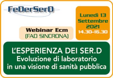 Webinar