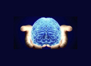 L?impatto di droghe e alcol sullo sviluppo cerebrale L?impatto di droghe e alcol sullo sviluppo cerebrale