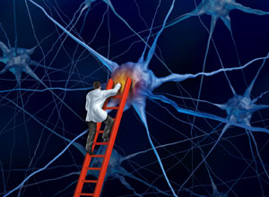 Emozioni, Linguaggio, Autocontrollo. Neuroscienze, scienze cognitive, etica e clinica delle dipendenze Emozioni, Linguaggio, Autocontrollo. Neuroscienze, scienze cognitive, etica e clinica delle dipendenze